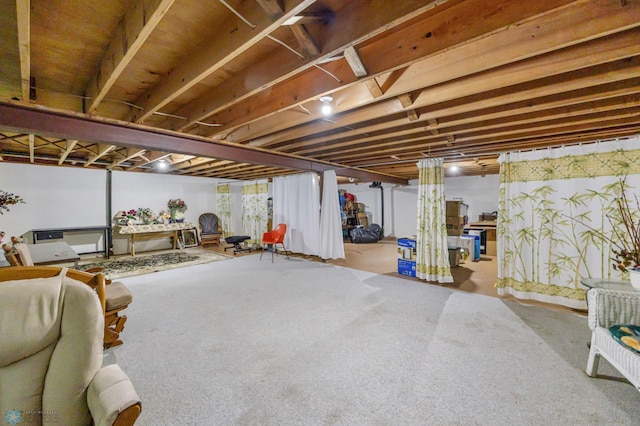 812 10th St S Unit B12, Fargo, ND 58103 - below grade area with carpet floors
