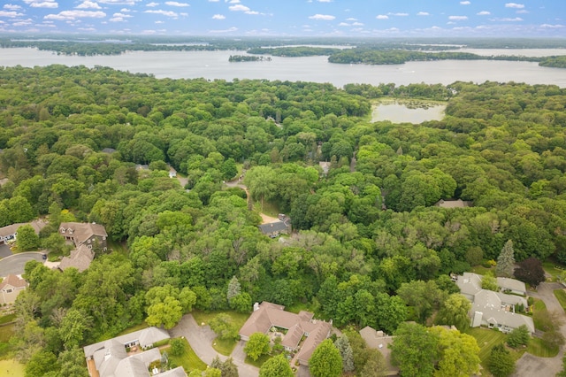 4940 Regents Walk, Shorewood, MN 55331 - photo 46