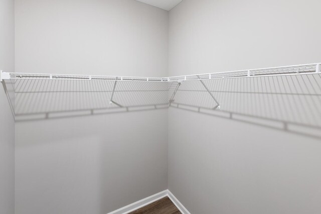 7861 Ramsey Pkwy NW, Ramsey, MN 55303 - spacious closet featuring dark wood finished floors