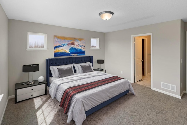 7861 Ramsey Pkwy NW, Ramsey, MN 55303 - bedroom with multiple windows and carpet