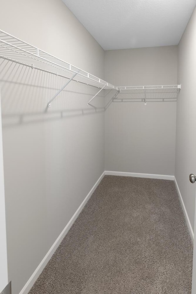 7861 Ramsey Pkwy NW, Ramsey, MN 55303 - walk in closet featuring carpet floors