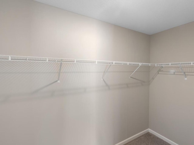 7855 Ramsey Pkwy NW, Ramsey, MN 55303 - walk in closet with carpet floors