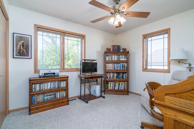 521 Spruce Ln, Crookston, MN 56716 - carpeted office featuring plenty of natural light and ceiling fan
