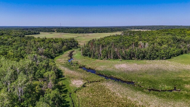 24290 Rock Lake Rd, Holmesville Twp, MN 56578 - photo 6