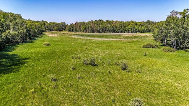 24290 Rock Lake Rd, Holmesville Twp, MN 56578 - photo 8