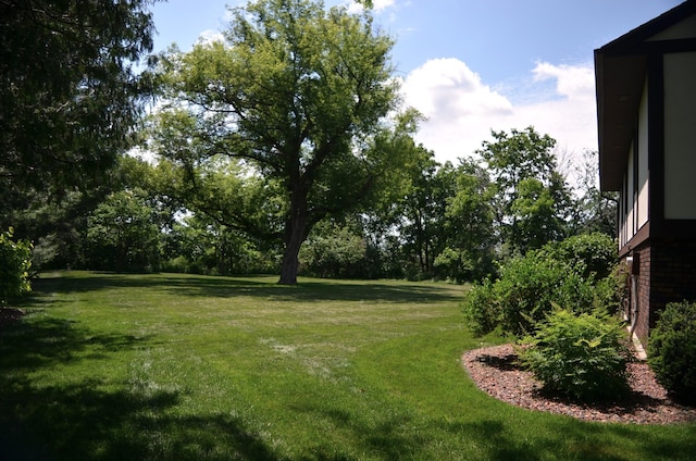 4336 Lookout Ln, Red Wing, MN 55066 - view of grassy yard