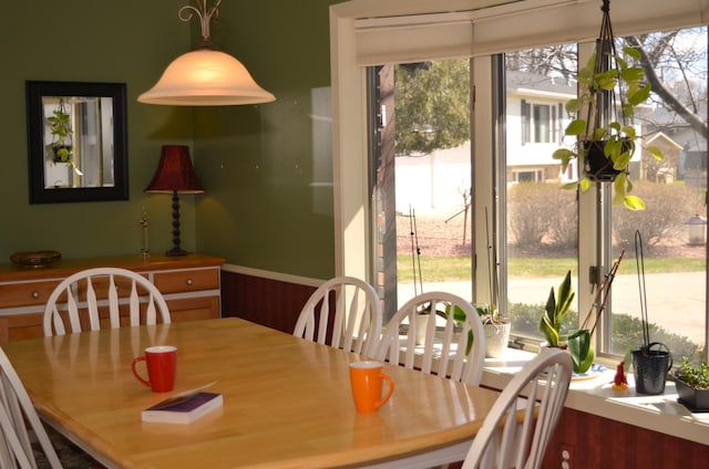 4336 Lookout Ln, Red Wing, MN 55066 - dining room featuring plenty of natural light