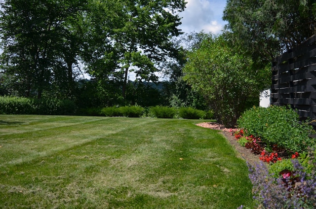4336 Lookout Ln, Red Wing, MN 55066 - view of grassy yard