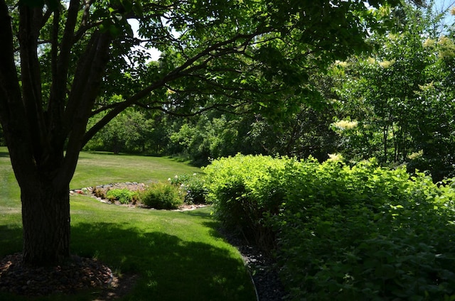 4336 Lookout Ln, Red Wing, MN 55066 - view of property's community featuring a yard