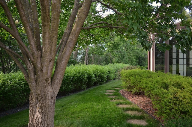 4336 Lookout Ln, Red Wing, MN 55066 - view of green lawn