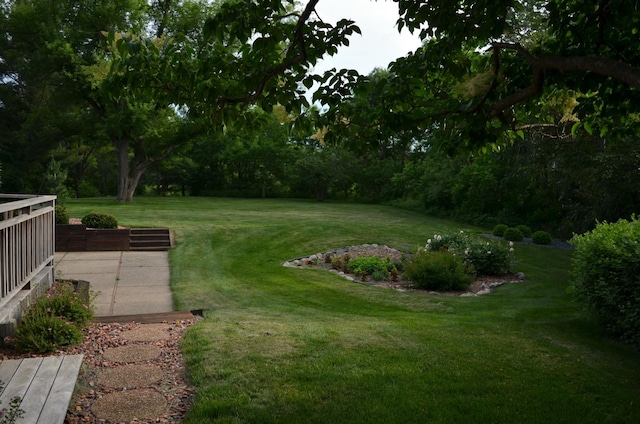4336 Lookout Ln, Red Wing, MN 55066 - view of grassy yard