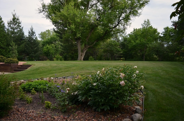 4336 Lookout Ln, Red Wing, MN 55066 - view of green lawn