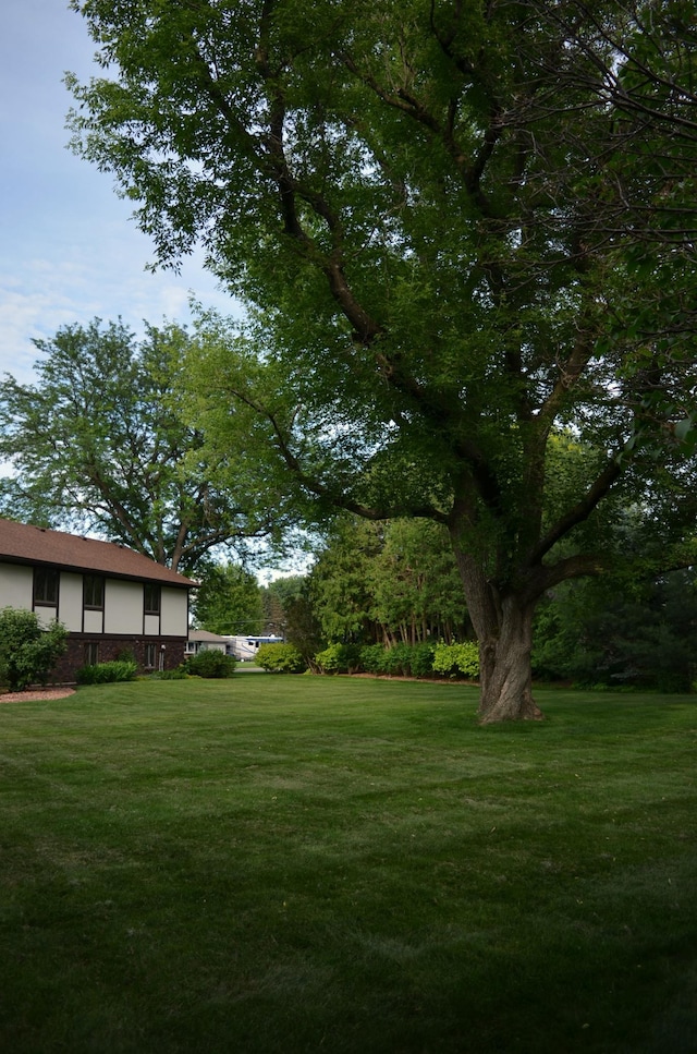 4336 Lookout Ln, Red Wing, MN 55066 - view of grassy yard