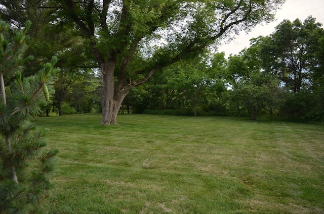 4336 Lookout Ln, Red Wing, MN 55066 - view of grassy yard