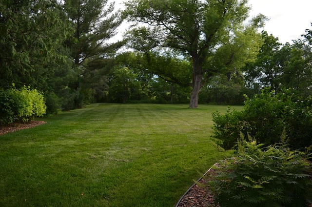 4336 Lookout Ln, Red Wing, MN 55066 - view of grassy yard