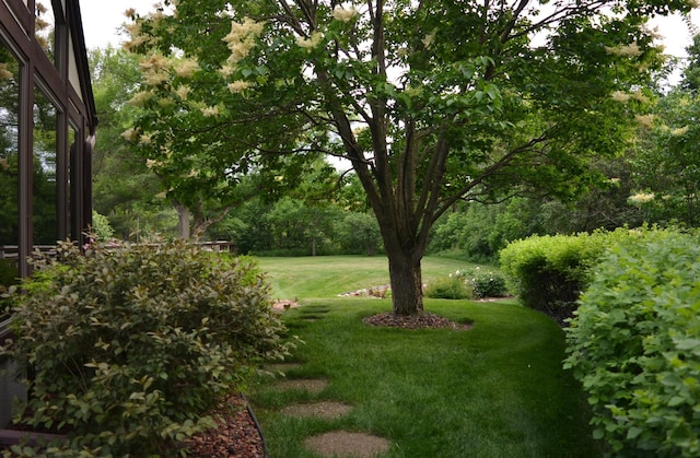 4336 Lookout Ln, Red Wing, MN 55066 - view of grassy yard