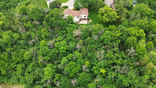 4336 Lookout Ln, Red Wing, MN 55066 - aerial view of property and surrounding area