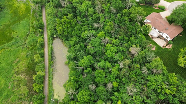 4336 Lookout Ln, Red Wing, MN 55066 - aerial view of property and surrounding area