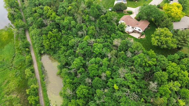 4336 Lookout Ln, Red Wing, MN 55066 - bird's eye view