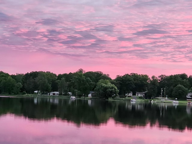773 US Highway 63, Clayton, WI 54004 - water view featuring a forest