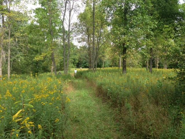 3040 330th Ave, Kroschel Twp, MN 55037