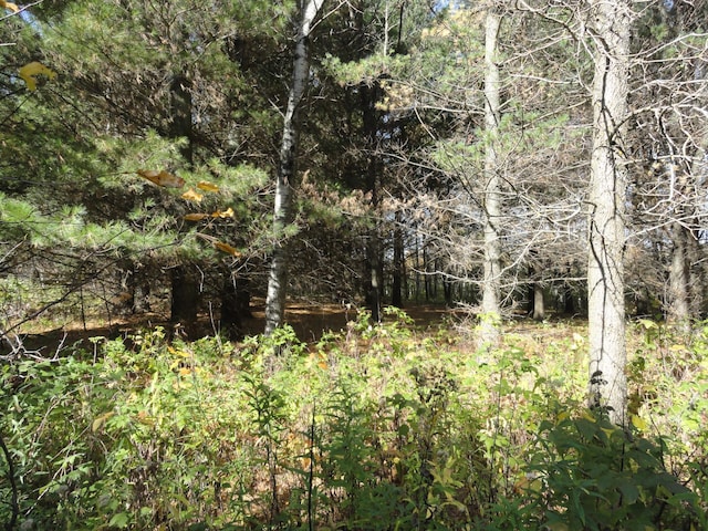 3040 330th Ave, Kroschel Twp, MN 55037