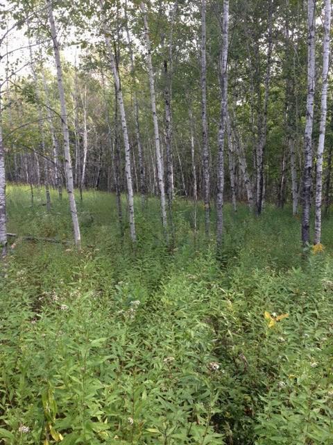 3040 330th Ave, Kroschel Twp, MN 55037