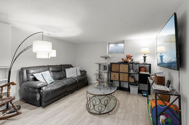 771 Creek Ave, Mendota Heights, MN 55120 - living room with light wood-type flooring and a textured ceiling