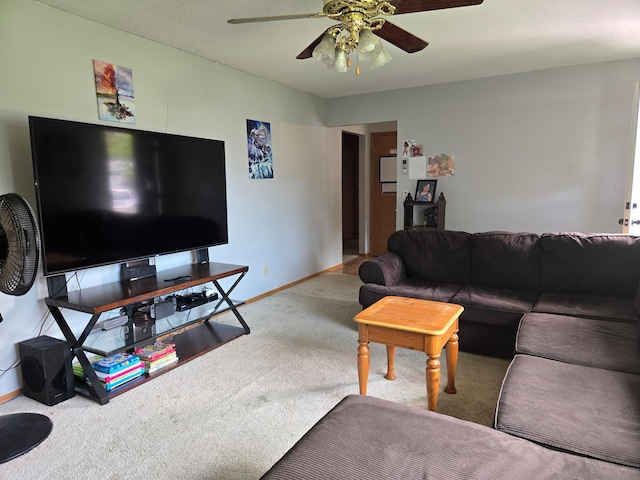 266 6th St, Hancock, MN 56244 - living area with carpet flooring and ceiling fan