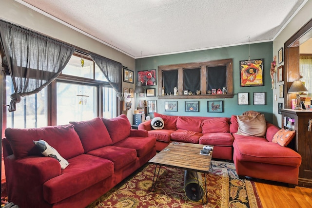 104 27th St, Minneapolis, MN 55408 - living room featuring a textured ceiling, wood finished floors, and ornamental molding
