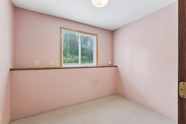 2419 Galtier St, Roseville, MN 55113 - photo 24