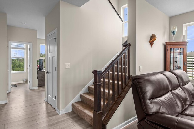 7680 Anthony Pl, Victoria, MN 55386 - photo 14
