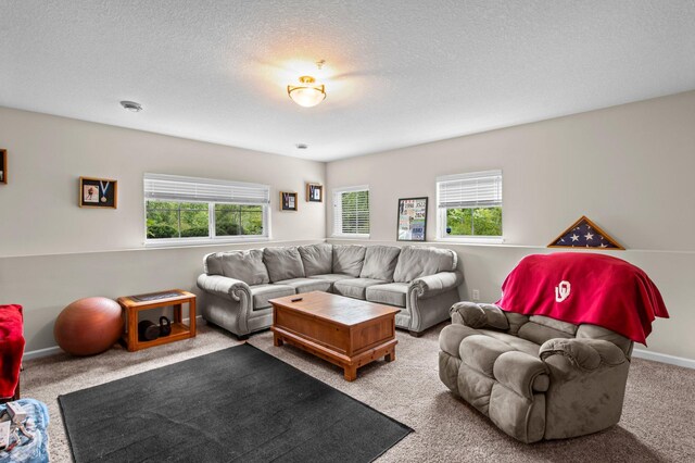 7680 Anthony Pl, Victoria, MN 55386 - photo 26