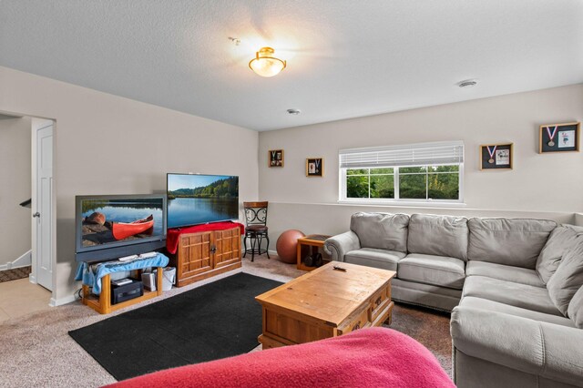 7680 Anthony Pl, Victoria, MN 55386 - photo 27