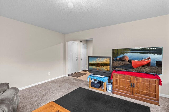 7680 Anthony Pl, Victoria, MN 55386 - photo 28