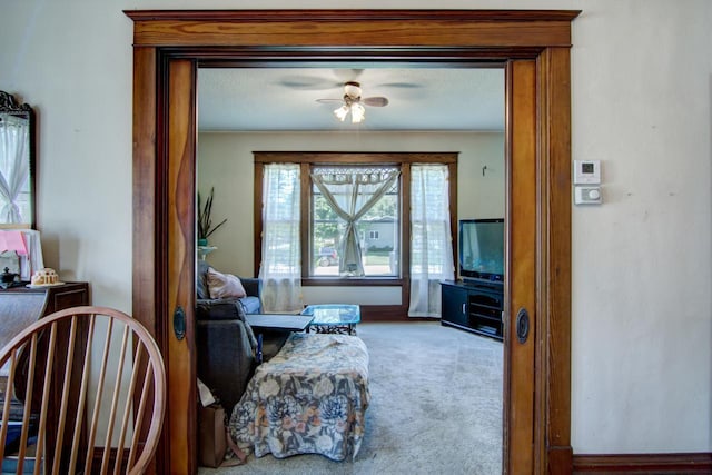 735 Broadway Ave, Wabasha, MN 55981 - living area featuring carpet floors