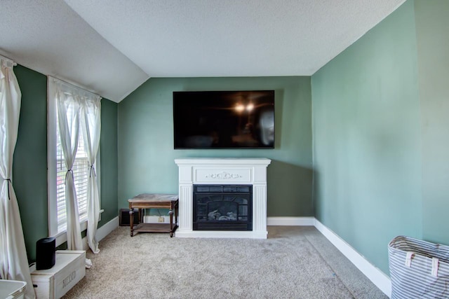 735 Broadway Ave, Wabasha, MN 55981 - living area with carpet, a textured ceiling, a glass covered fireplace, and vaulted ceiling