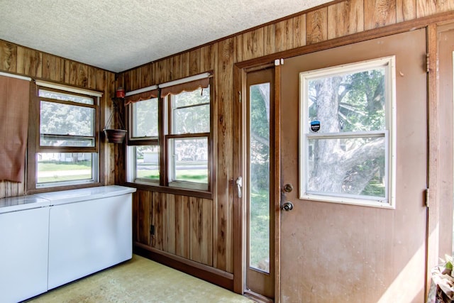 735 Broadway Ave, Wabasha, MN 55981 - entryway with wooden walls, healthy amount of natural light, and a textured ceiling