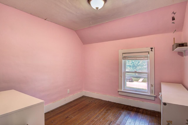 735 Broadway Ave, Wabasha, MN 55981 - additional living space featuring dark wood finished floors and vaulted ceiling