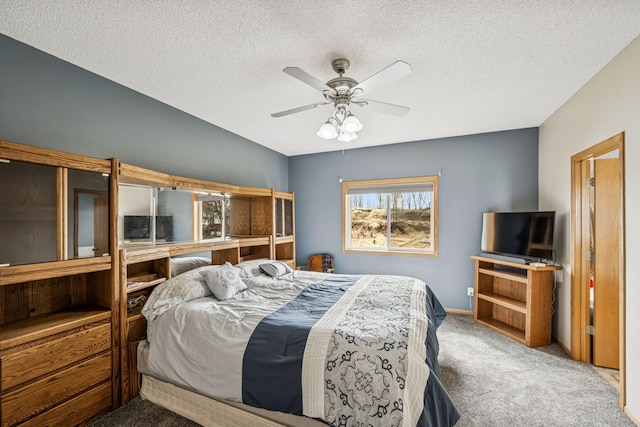 816 Abbey Rd, Northfield, MN 55057 - photo 10