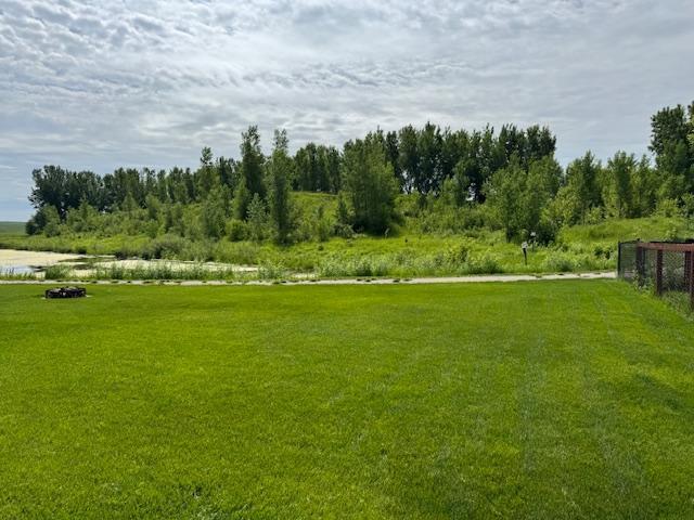 816 Abbey Rd, Northfield, MN 55057 - photo 24