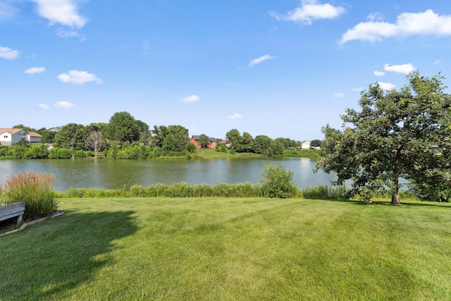 15900 Dakota Ln, Rosemount, MN 55068 - photo 49