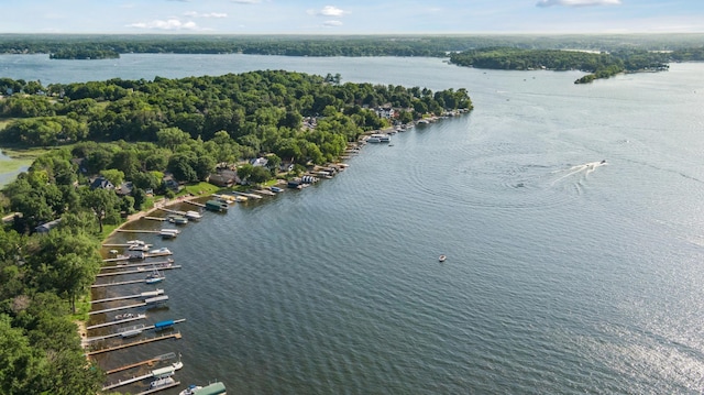 2921 Cambridge Ln, Mound, MN 55364 - aerial view of a large body of water