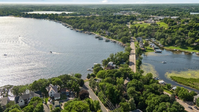 2921 Cambridge Ln, Mound, MN 55364 - bird's eye view of a large body of water