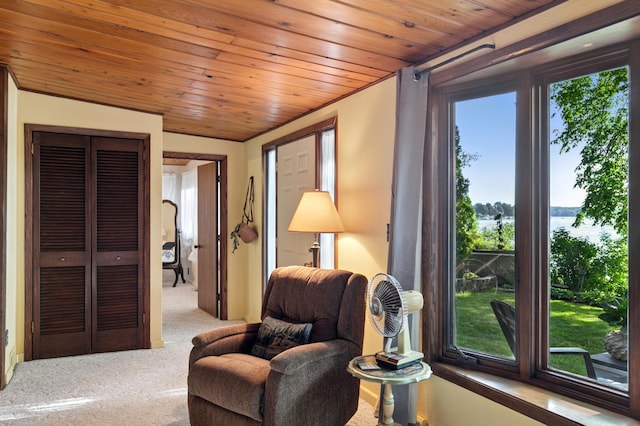 2921 Cambridge Ln, Mound, MN 55364 - sitting room featuring carpet flooring and wood ceiling