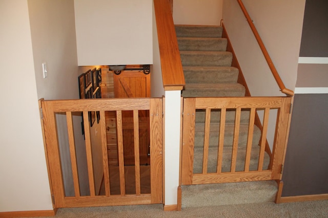 1508 6th Ave S, Sartell, MN 56377 - stairs featuring carpet flooring