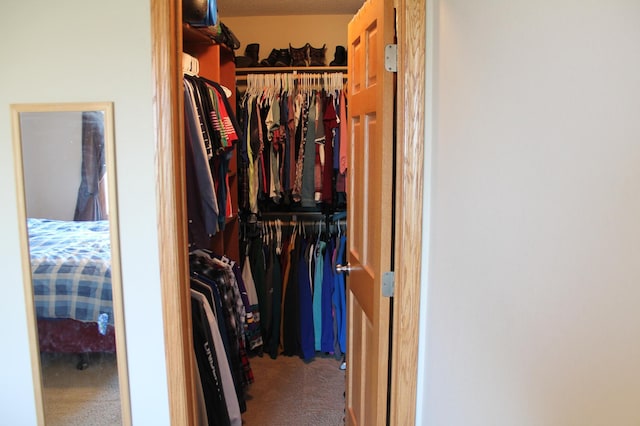 1508 6th Ave S, Sartell, MN 56377 - spacious closet featuring carpet
