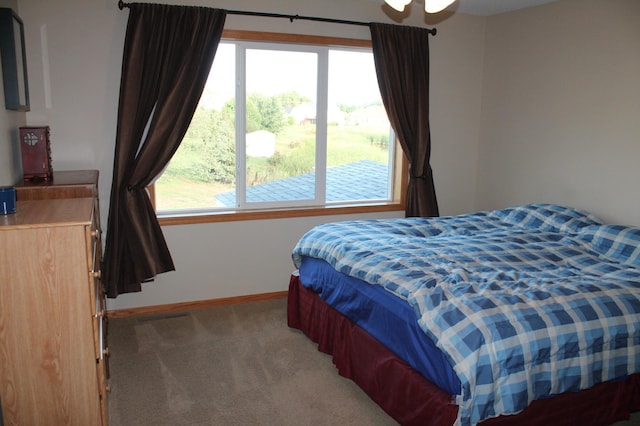 1508 6th Ave S, Sartell, MN 56377 - bedroom featuring light carpet and multiple windows