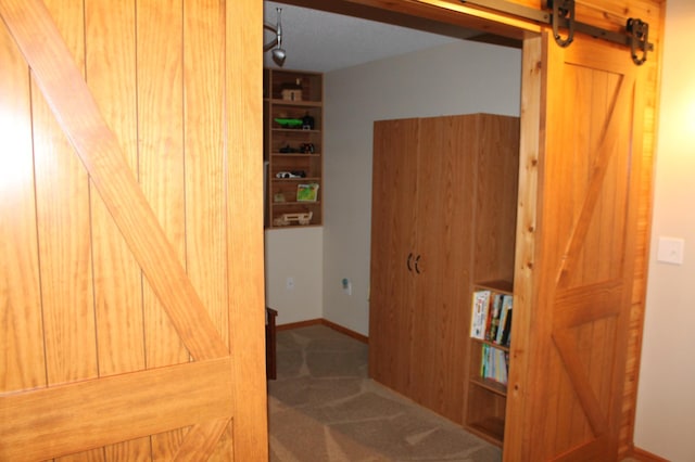 1508 6th Ave S, Sartell, MN 56377 - hall with a barn door and carpet flooring