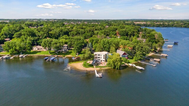 9235 Lake Riley Blvd, Chanhassen, MN 55317 - photo 3